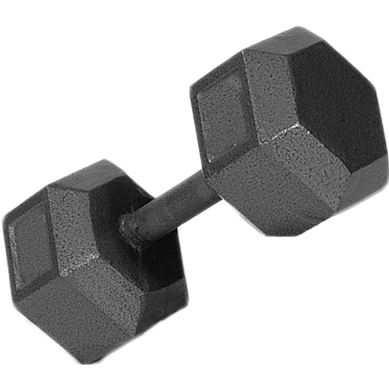 Barbell store 25 lb