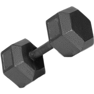 30lb c/i solid dumbbell