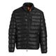 MTImportsInc-MERNIELEATHER-400037056528_main_image