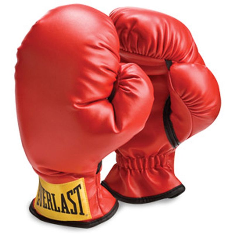 Everlast children's store boxing gloves