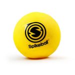 KankakeeSpikeballInc-SPIKEBALLROOKIEKIT-400036763861_3