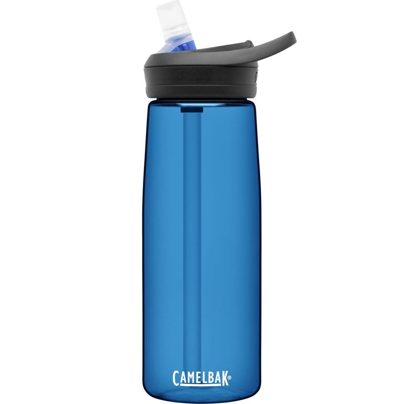 CamelBak 25oz Eddy+ Vacuum Insulated Stainless Steel Water Bottle - Pastel  Purple