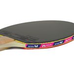 ButterflyTableTennis-RDJ2PLAYERSET-400037608437_3