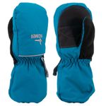 Kombi-KIDSSNOWCATMITT-400037393456_main_image