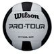 Wilson-22096-PROTOURVOLLEYBALL_MAIN_IMAGE