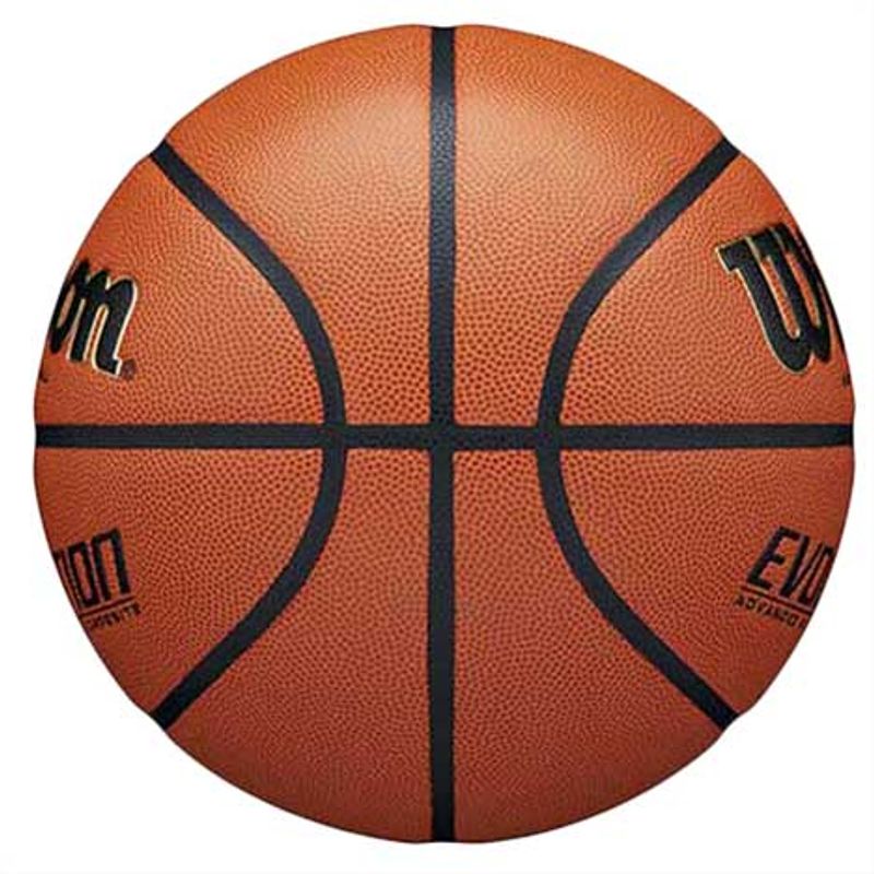 Wilson Evolution Basketball