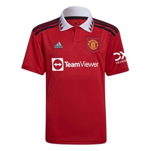 kids manchester united 23 home jersey
