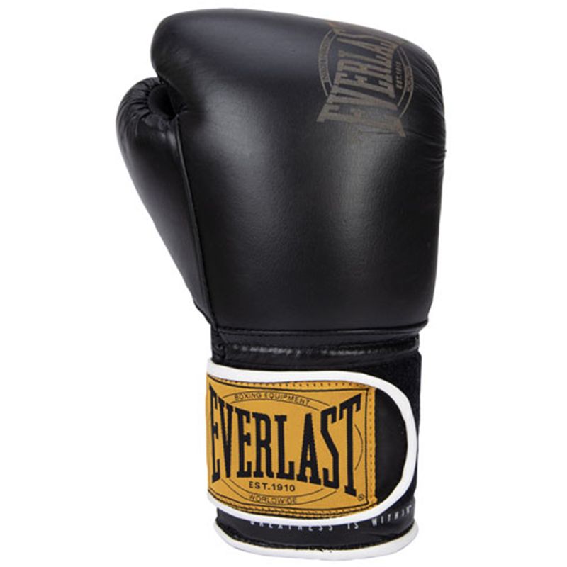 Everlast classic store boxing training gloves