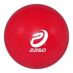 ProNine-Sports--WEIGHTED-SAND-BALL-5-LBS
