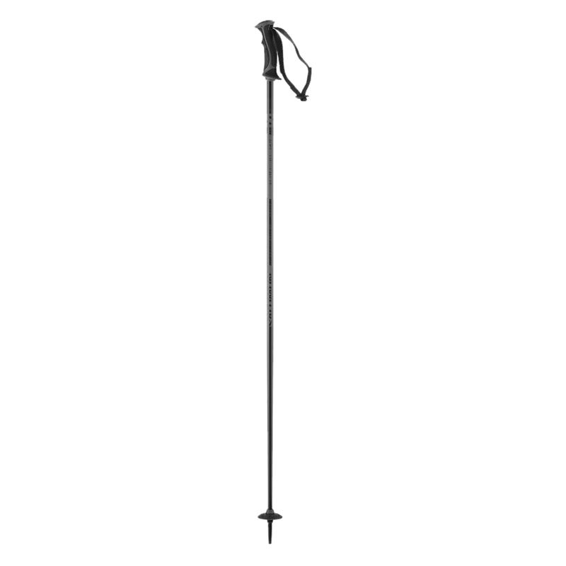 Salomon-Womens-ARTIC-LADY-POLE-ASST-ARTICLADYASST