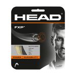 Head--FXP-17G