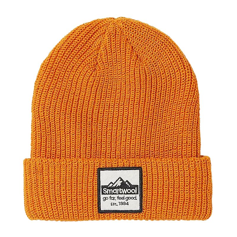 kids-smartwool-patch-bea-hat