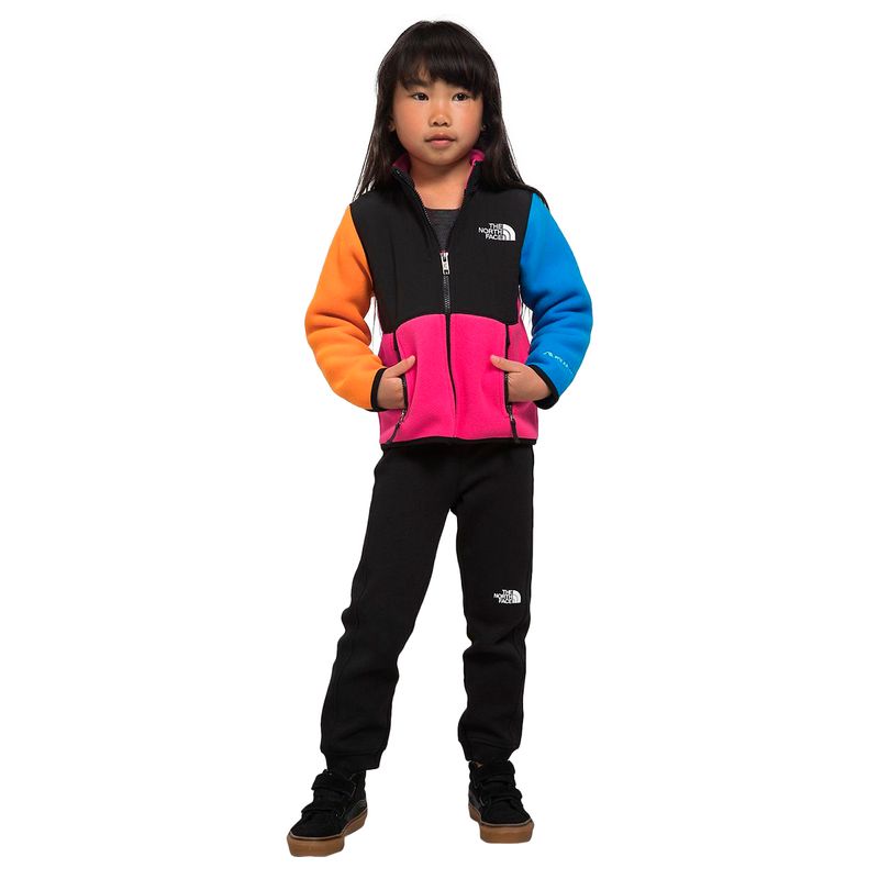 North face infant outlet denali jacket