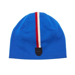 mens carl reversible beanie