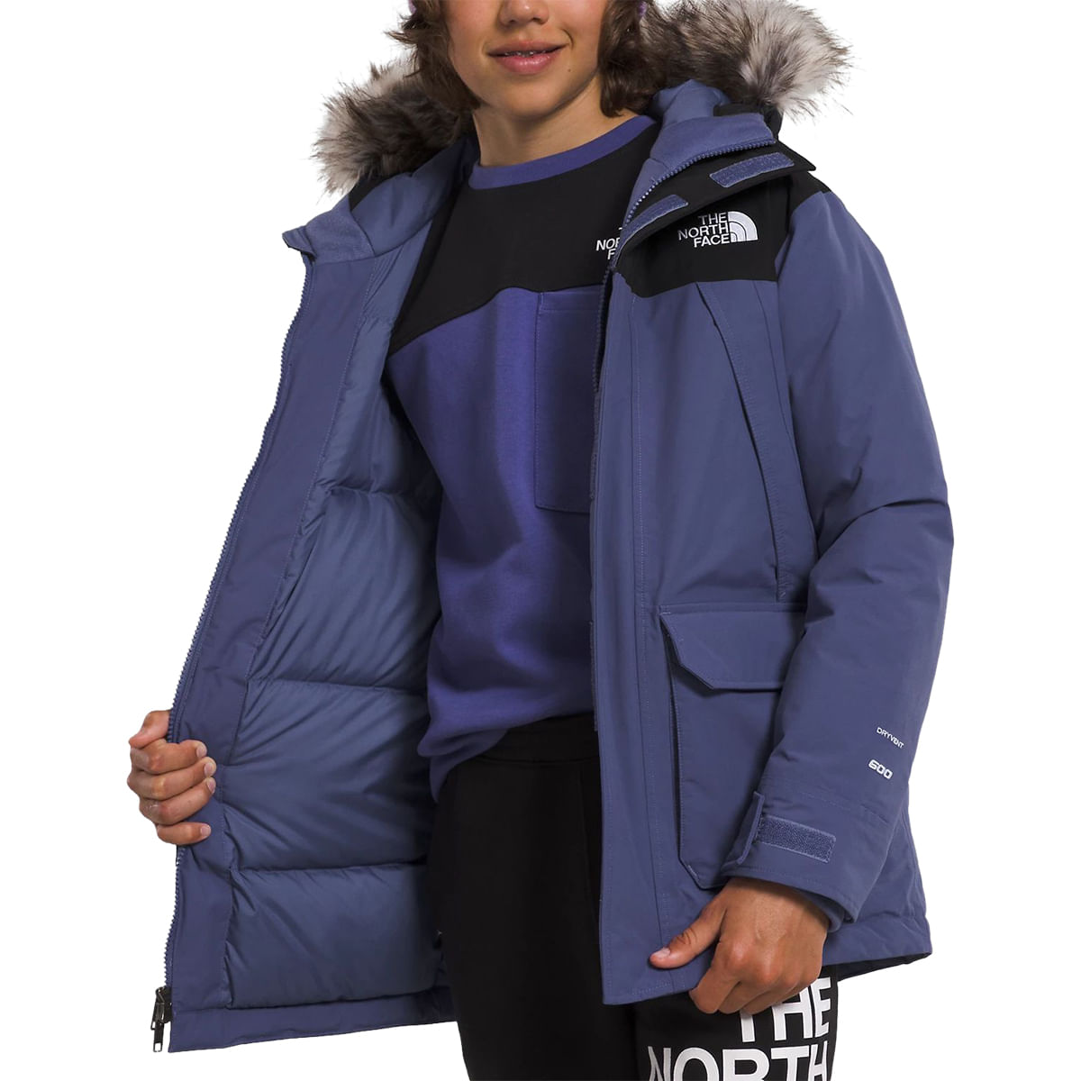 North face discount mcmurdo parka blue