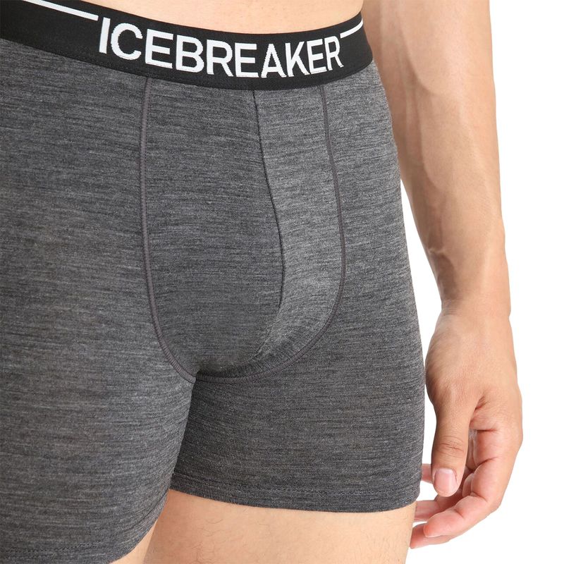 mens-men-anatomica-boxers