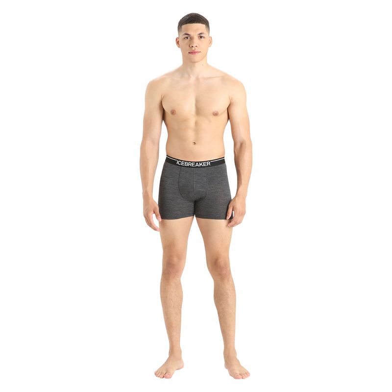 mens-men-anatomica-boxers