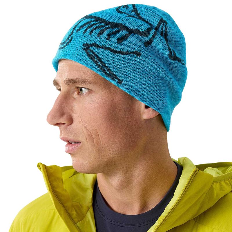 Arc-teryx Unisex BIRD HEAD TOQUE BLUE TETRA-PYTHE - Paragon Sports