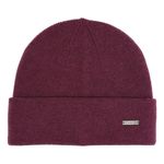 mens-tempted-beanie-hat