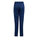 kids-tiro24-pants