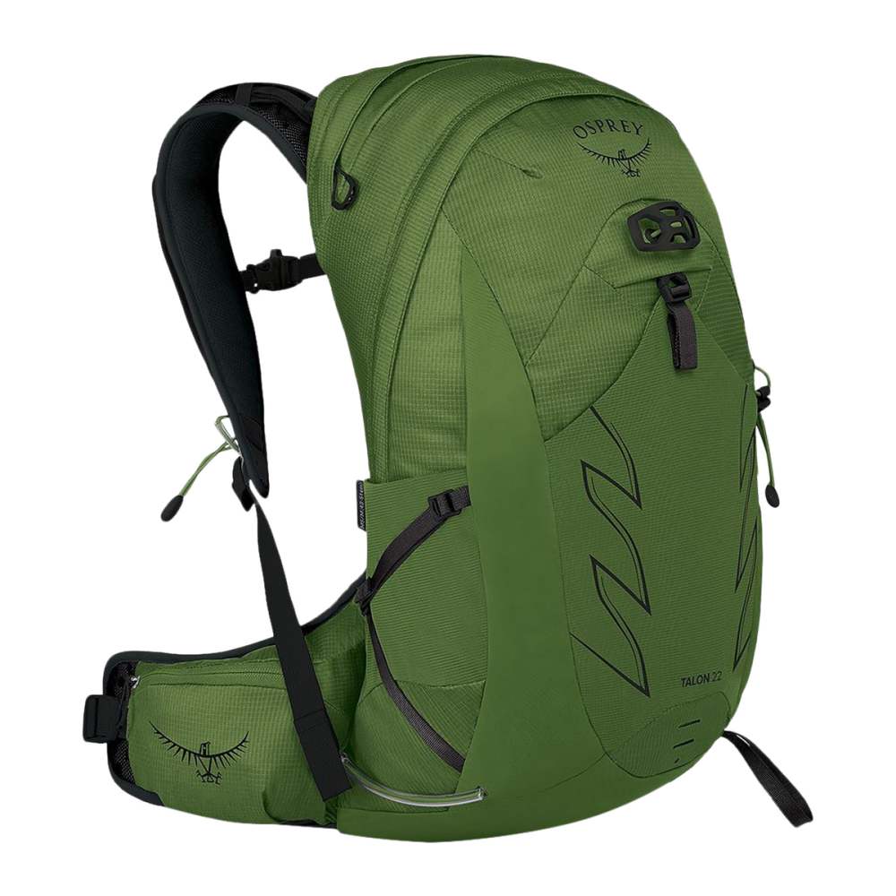 Osprey backpack green best sale