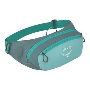 daylite everyday waist pack
