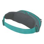 daylite-waist-pack
