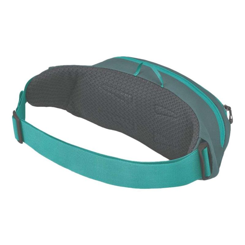 Osprey daylite waist pack sale