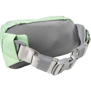 forager hip pack