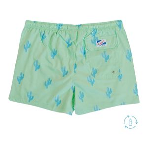 mens cactus volley swim trunks