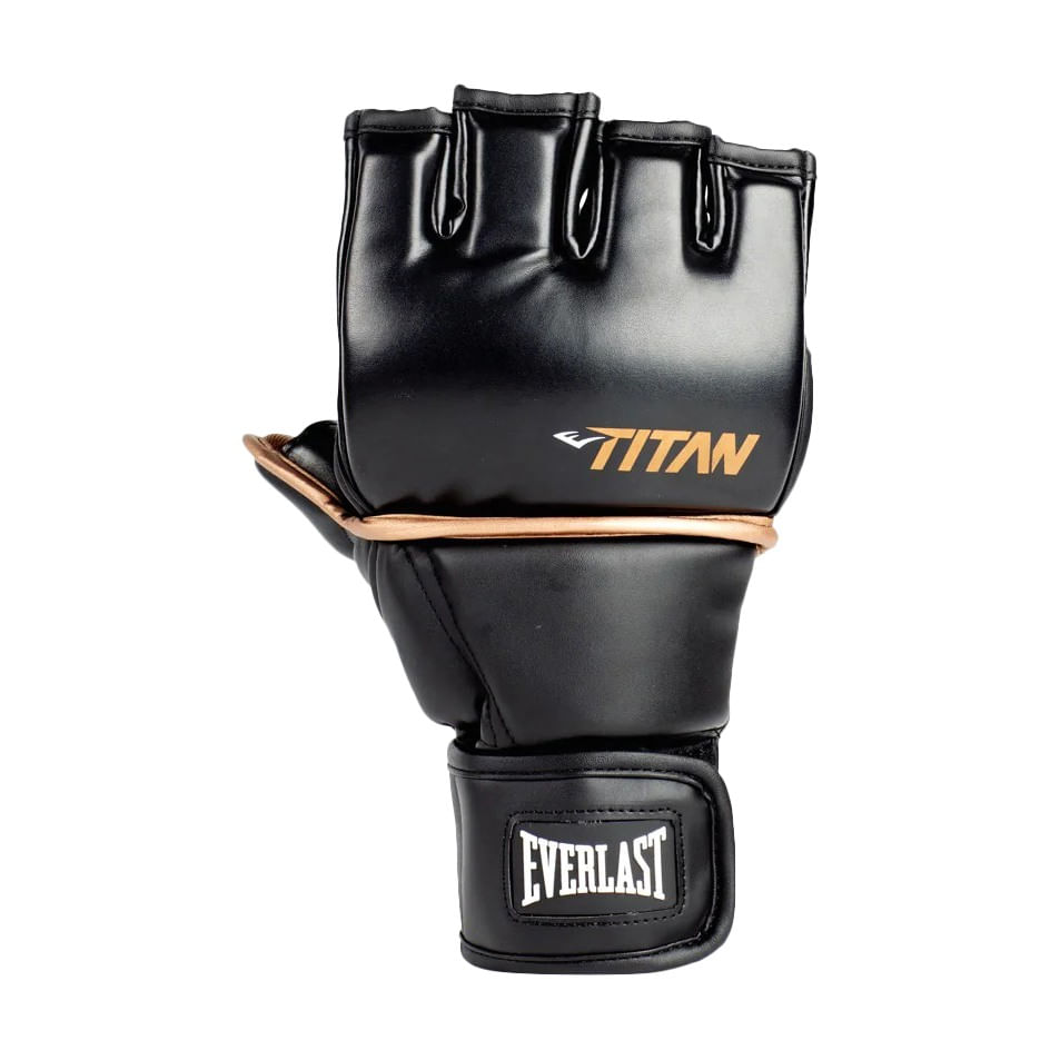 Everlast TITAN MMA GRAPPLING Glove BLACK Paragon Sports