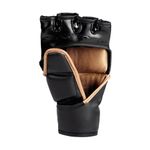 titan-mma-grappling-glove
