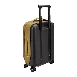 aion carry on spinner luggage