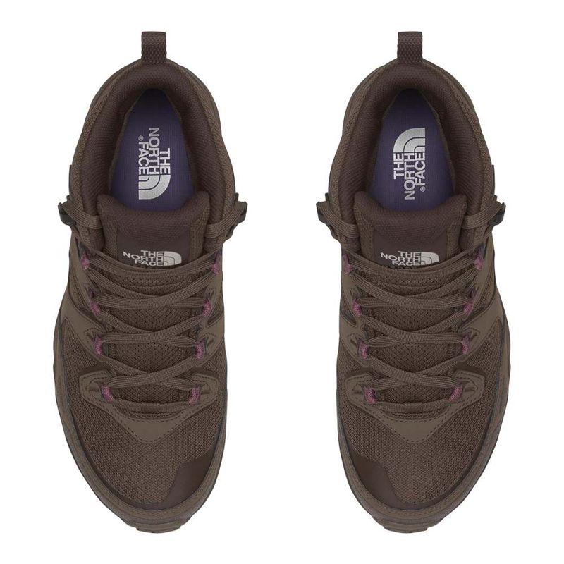 womens-women-s-hedgehog-3-mid