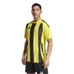 mens-striped-24-jersey