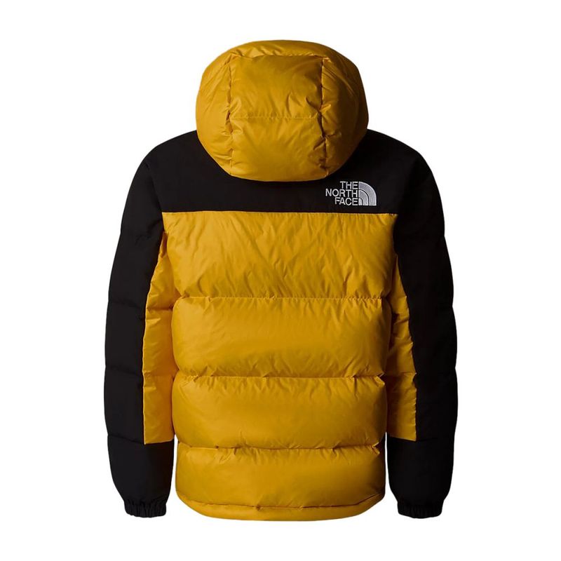 The North Face Kids TEEN HMLYN DOWN SHORT PA SUMMIT GOLD The North Face Kids TEEN HMLYN DOWN SHORT PA SUMMIT GOLD
