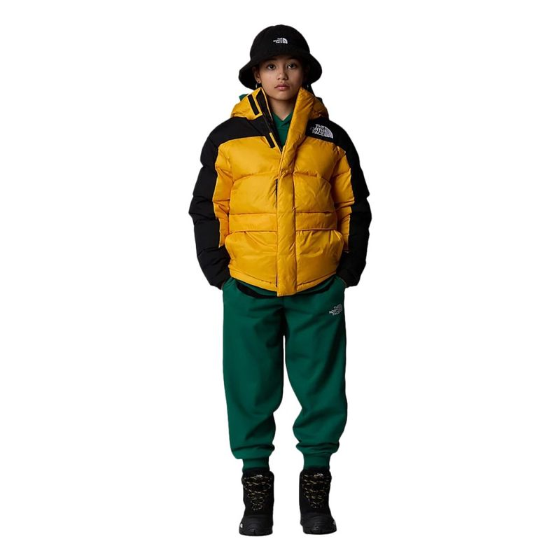 The North Face Kids TEEN HMLYN DOWN SHORT PA SUMMIT GOLD