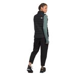 womens-women-s-aconcagua-3-vest