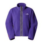 womens-tnf-fleeski-full-zip-jacket