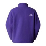 womens-tnf-fleeski-full-zip-jacket