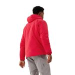mens-proton-heavyweight-hoody