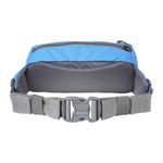forager-hip-pack