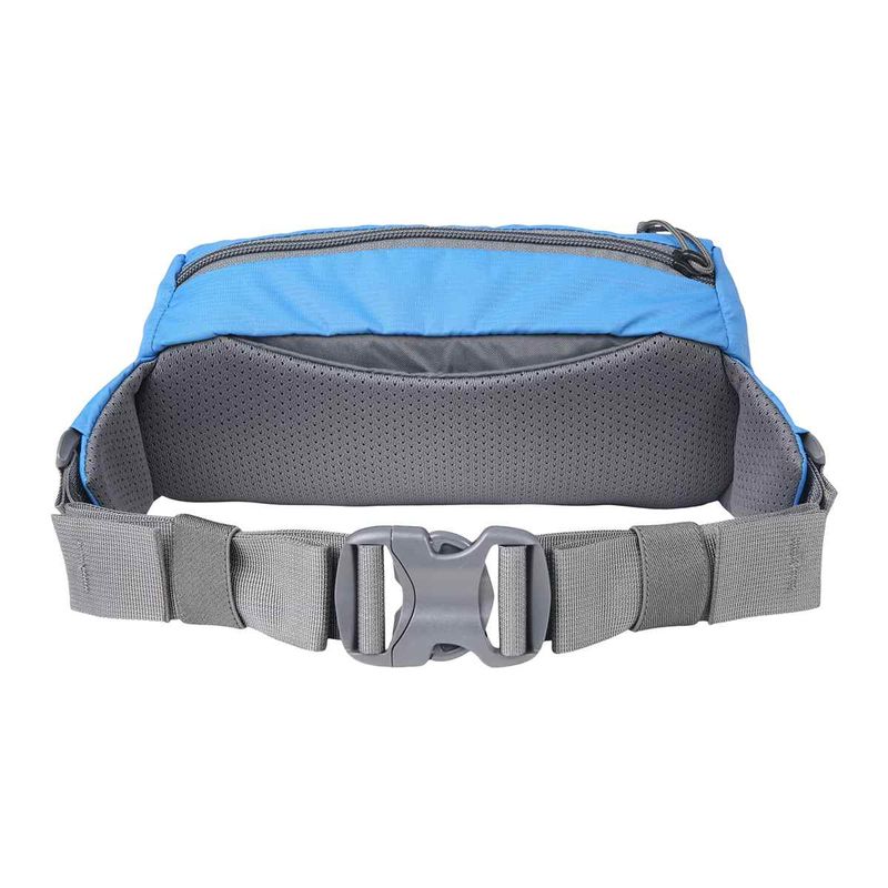 forager-hip-pack