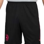 mens-cfc-stadium-3rd-short