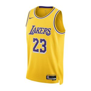 mens lebron james los angeles lakers icon swingman Jersey