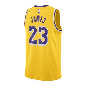 mens lebron james los angeles lakers icon swingman Jersey