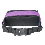 forager-hip-pack