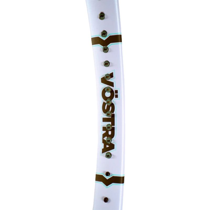 vostra-v2