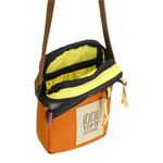mini-shoulder-bag