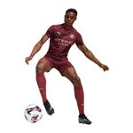 mens-mcfc-3rd-auth-jersey